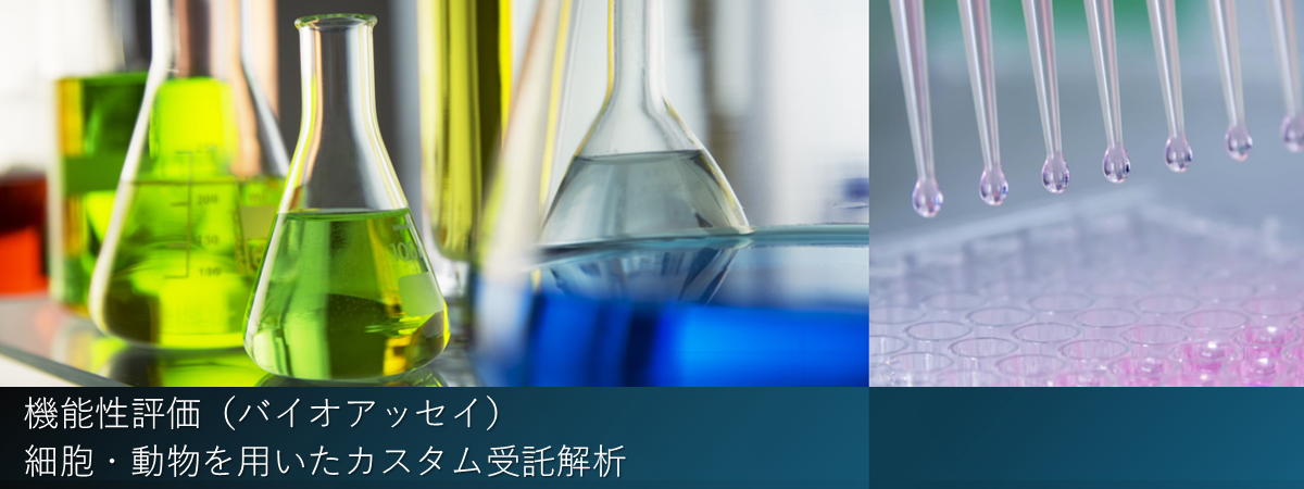 機能性評価試験, バイオアッセイ, Bioassay(new)